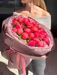 Пионы коралловые «Леопард»